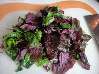 �Ȳ��ɵ�����ͼƬ����5