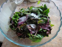 �Ȳ��ɵ�����ͼƬ����6