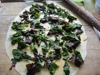 �Ȳ��ɵ�����ͼƬ����7