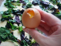 �Ȳ��ɵ�����ͼƬ����8