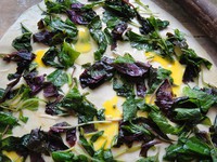 �Ȳ��ɵ�����ͼƬ����9