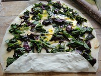 �Ȳ��ɵ�����ͼƬ����10