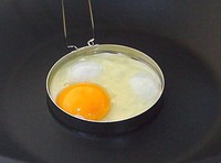 ������������͵�����ͼƬ����2