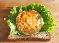 ������������͵�����ͼƬ����4