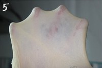 ����Ӫ�����������������ͼƬ����5