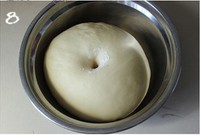 ����Ӫ�����������������ͼƬ����8