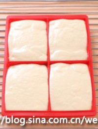 �����������ͼƬ����8