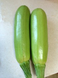 �˱�������ͼƬ����4