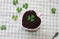 ��Ҷ�������̲������ͼƬ����11