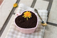 ��Ҷ�������̲������ͼƬ����12