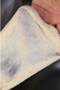 ȫ����ѿ���������ͼƬ����1