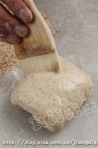 ȫ����ѿ���������ͼƬ����8