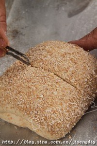 ȫ����ѿ���������ͼƬ����11