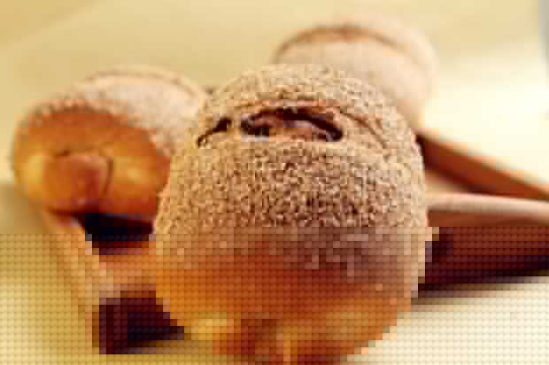 ȫ����ѿ���������