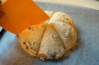 ��ʽ����������������ͼƬ����16