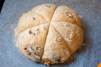 ��ʽ����������������ͼƬ����17