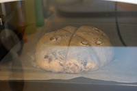 ��ʽ����������������ͼƬ����18