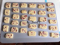 ��Խݮ���ɵ�����ͼƬ����13