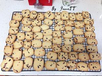 ��Խݮ���ɵ�����ͼƬ����14