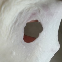 �������������ͼƬ����1