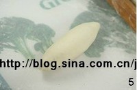 ����֥ʿ���������ͼƬ����5