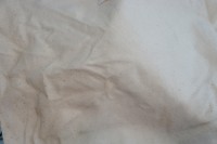 ����ţ�̹�˹������ͼƬ����6