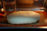 ����ţ�̹�˹������ͼƬ����11