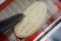 ����ţ�̹�˹������ͼƬ����12