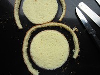 �ʳ�Ľ˹���������ͼƬ����2