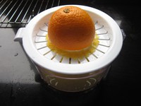 �ʳ�Ľ˹���������ͼƬ����4