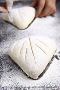 ������ݮţ�����������ͼƬ����10