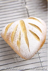 ������ݮţ�����������ͼƬ����11