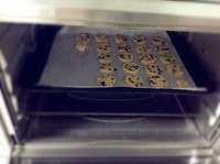 ��������֮��Ҷ�������Խݮ������ͼƬ����6