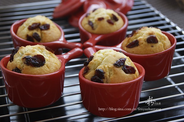 ��Խݮ��ҵ�����