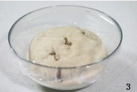 ȫ�����Ѹ����������ͼƬ����3