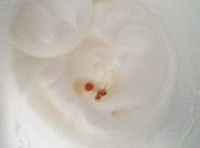 �����������������ͼƬ����2