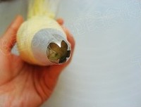 �������������ͼƬ����9