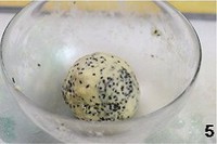 ��֥��������ɵ�����ͼƬ����5