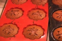 �����ɿ������������