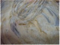 ԭζ������ɵ�����ͼƬ����2