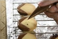 �ɰ����ޱ��ɵ�����ͼƬ����12