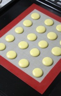 �����������������ͼƬ����6