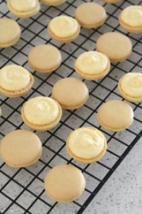 �����������������ͼƬ����6