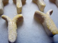 ���������֣�Palmier��������ͼƬ����7