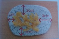 �ɿ������ڶ�����������ͼƬ����5