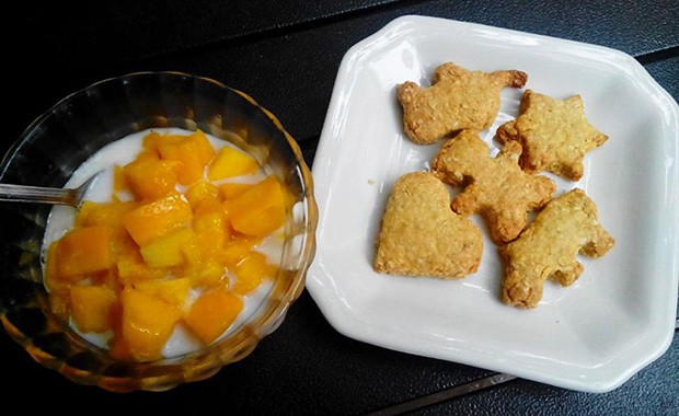 低油低糖燕麦饼干的做法,怎么做,低油低糖燕麦饼干如何做好吃详细步骤图解的做法