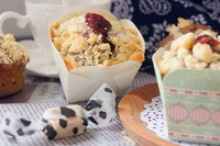 ��Խݮ�ɿ�������--������������������ͼƬ����9