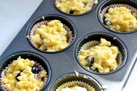 ��ݮ��ҵ�����ͼƬ����6