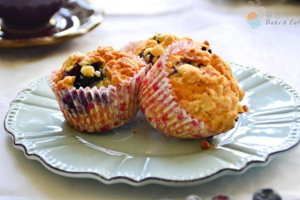 Ӫ������� ��ݮ��ҵ�����,��ô��,��ݮ���������ó���ϸ����ͼ�������