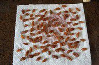 ������Ѹ����������ͼƬ����2